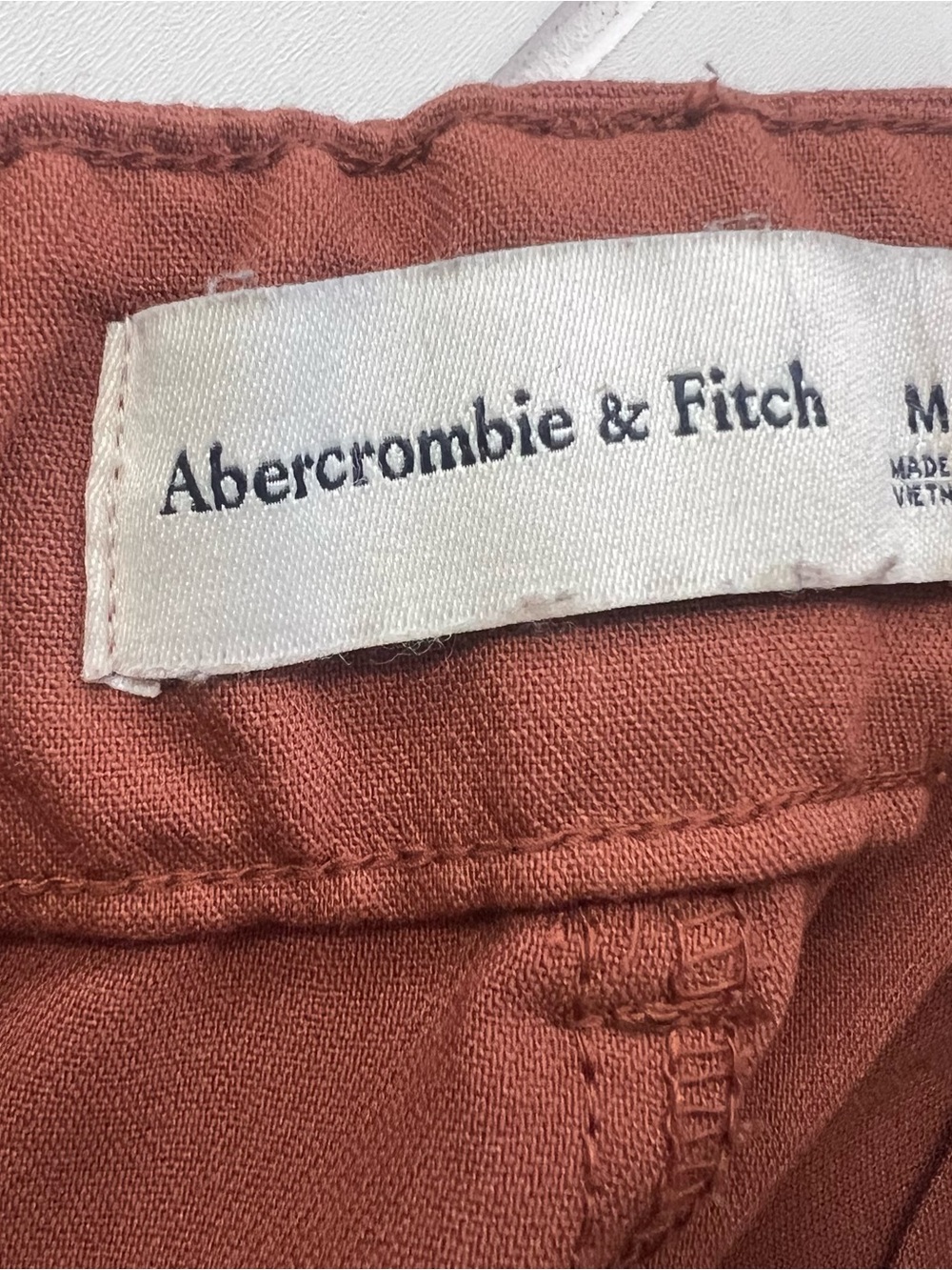 Abercrombie & Fitch Sloane Wide Leg Pants Rust Terracotta Pleated High Rise M - Picture 4 of 5